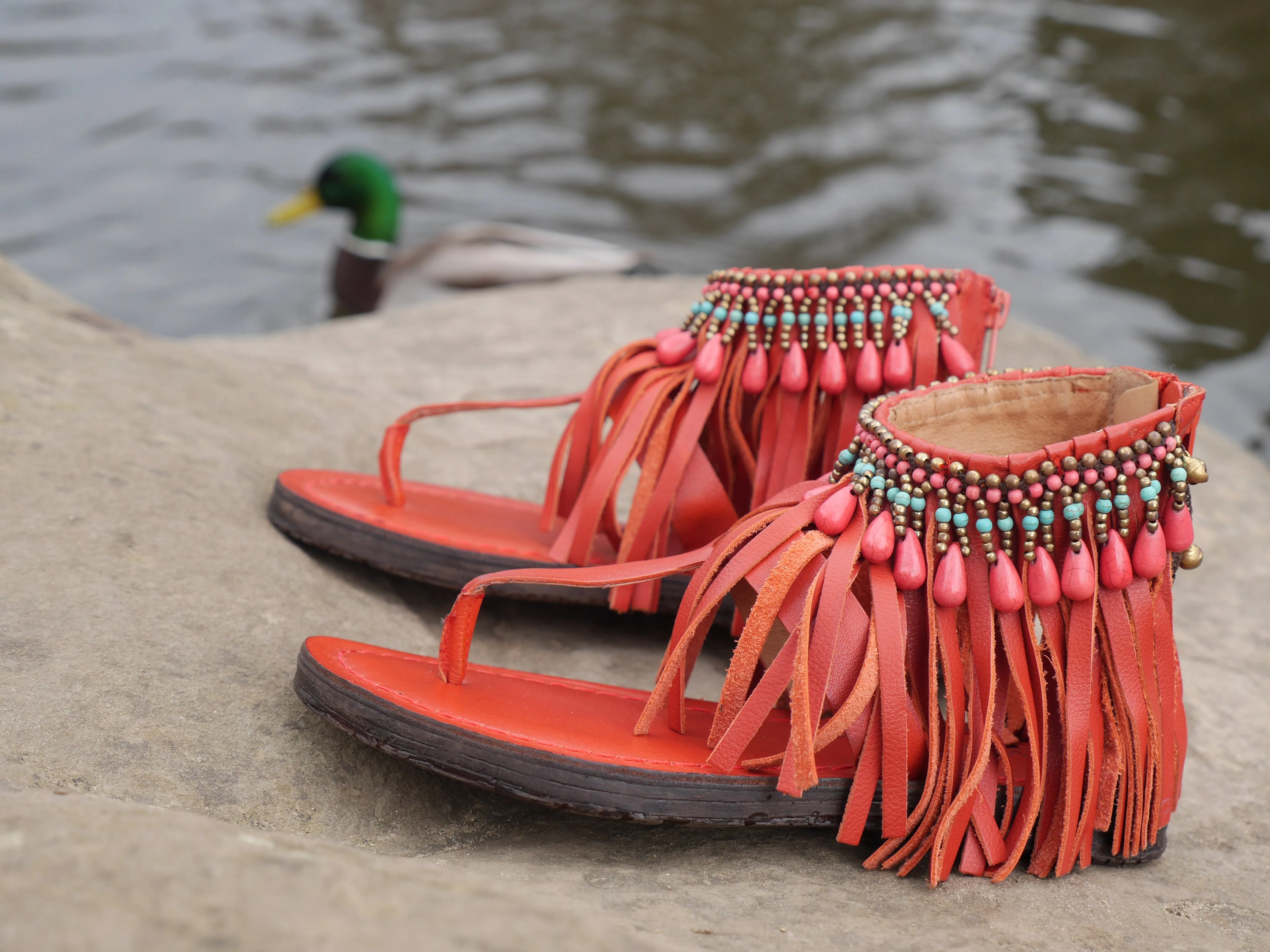 T0209 - Coral Fringe