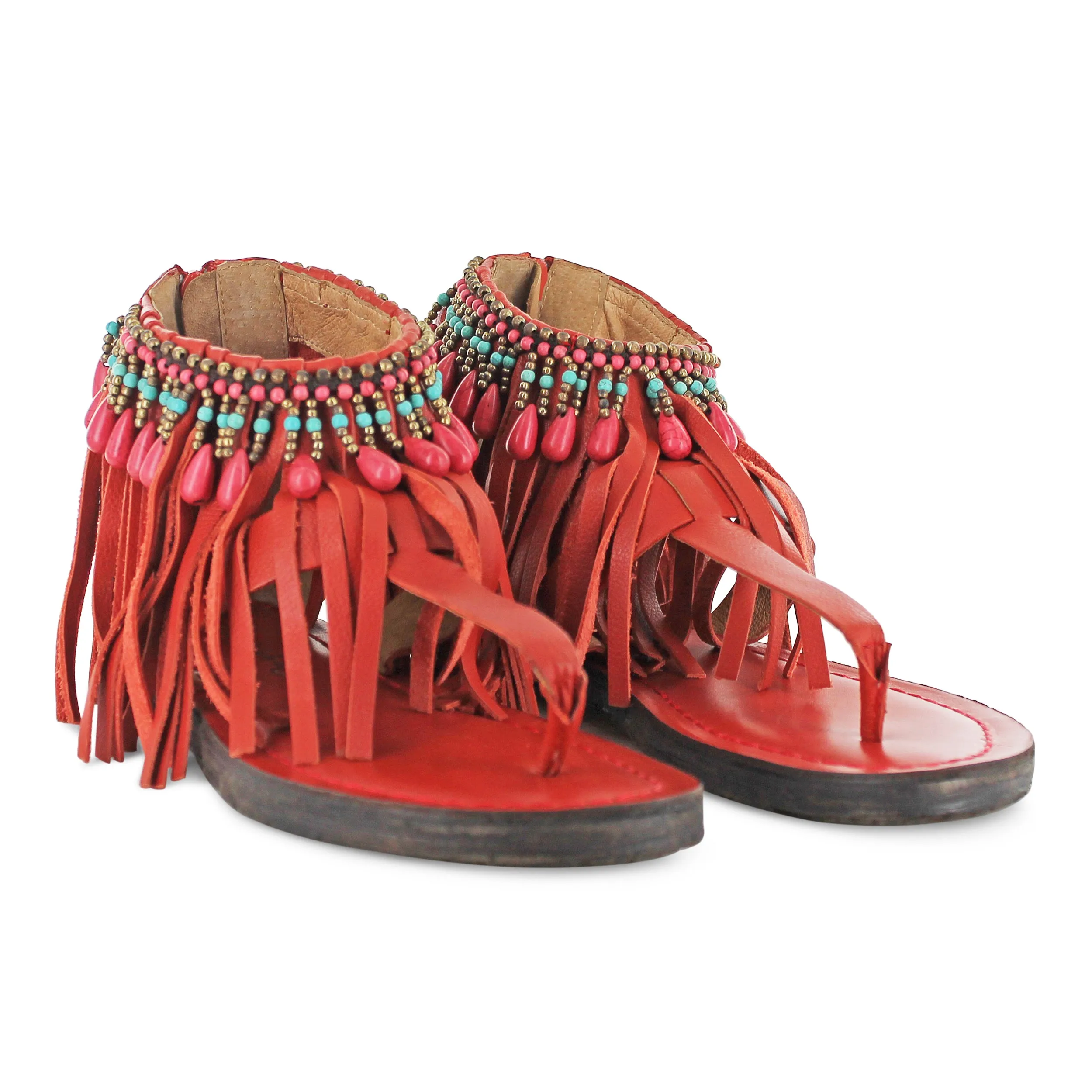T0209 - Coral Fringe