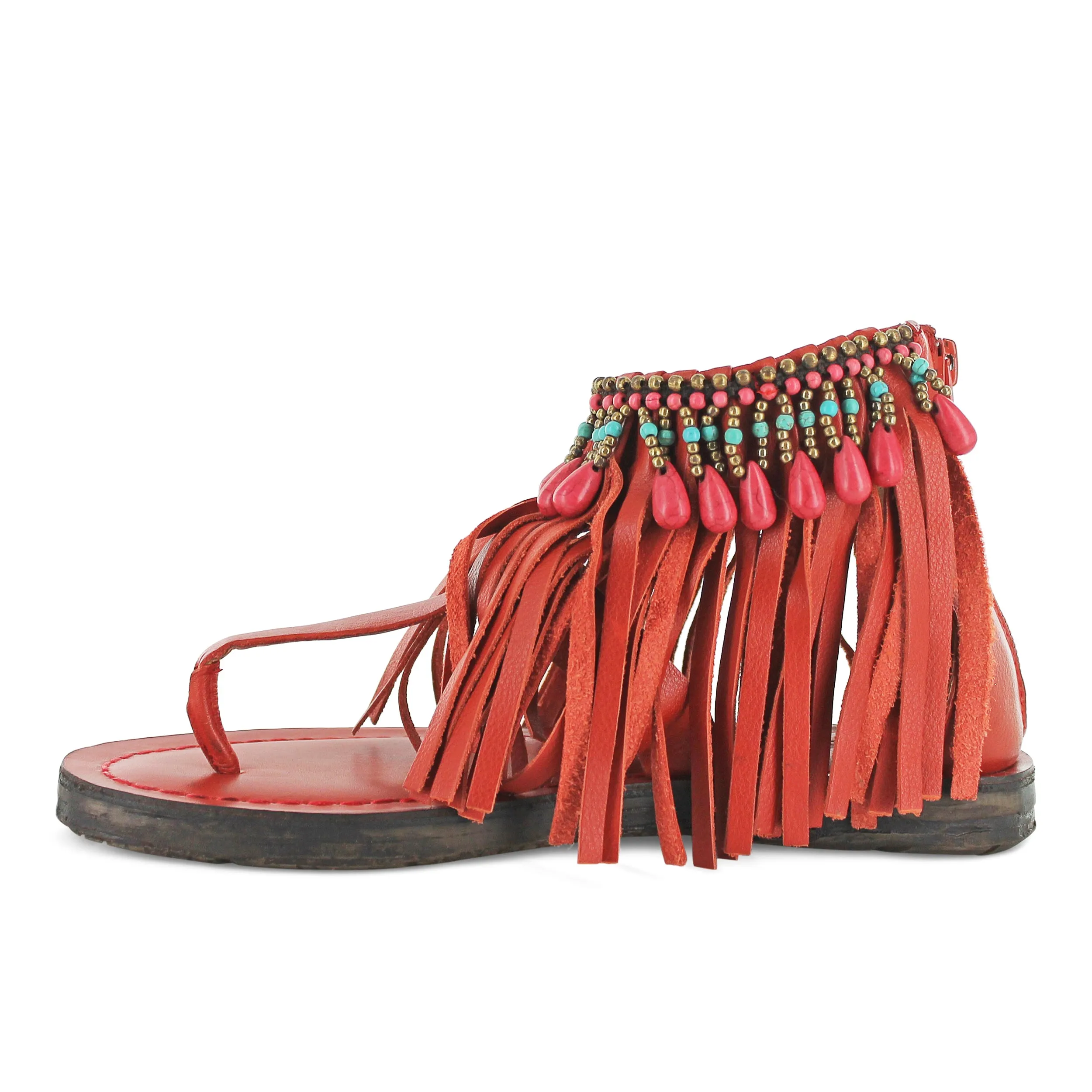 T0209 - Coral Fringe