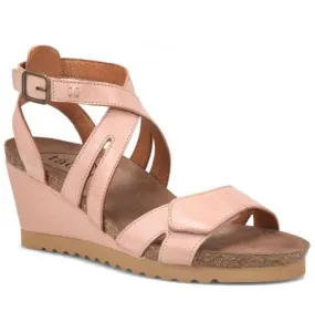 Taos Xcellent Shell Pink